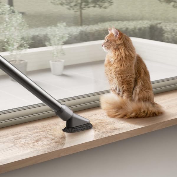 Dyson V12 Detect Slim+ Cordless Vacuum Cleaner